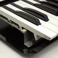 فروش و تعمیرات تخصصی انواع ارگ وپیانو