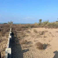 زمین ۷۰۰۰متری لب آب مناسب برای ویلا سازی|فروش زمین و ملک کلنگی|ساری, |دیوار