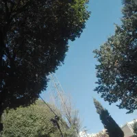 خدمت به طبیعت و وطن و کارهای عام المنفعه