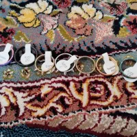 انگشتر نو معاوضه با کفتر آلمانی هم دارم