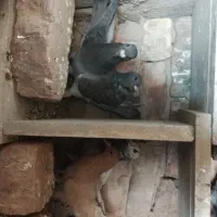 کفتر