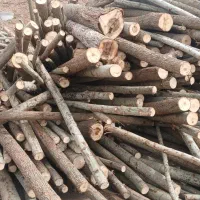 خرید چوب باغی وحیاتی