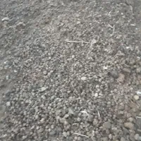 کود‌حیوانی‌(پهن‌گوسفندی)