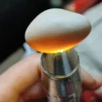 سنگ هاجواهری|جواهرات|میاندوآب, |دیوار