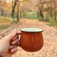 پارک ملت / دریاچه /قدم زدن / پاییز