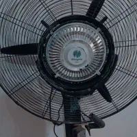 پنکه