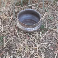 دخل شعر نویس قدیمی