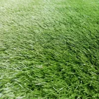 چمن مصنوعی تراکم بالا|گل مصنوعی|مشهد, رضاشهر|دیوار