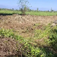 208متر کامل مسکونی|فروش زمین و ملک کلنگی|فومن, |دیوار