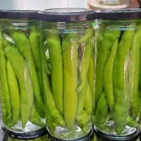 حراج محصولات خونگی