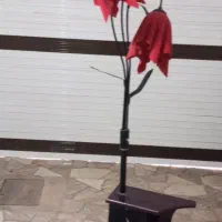 یک عدد آباژور و گاز طرح فر