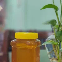عسل بهاره تضمین شده باآزمایش ساکارز 2/6برداشت اول