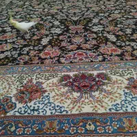 قالی 3+۴ در حد نونو|فرش|کرمان, |دیوار