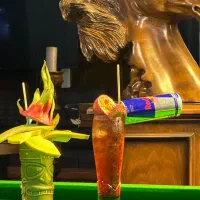 ۱۵ نفر سالن‌کار و ویتر در مجموعه نیروانا کیش