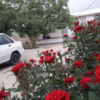 باغ ویلا ۷۰۰متری نزدیک هفت حوض و مخملکوه