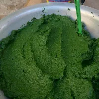 بورک با سوزی|فعالیت داوطلبانه|زابل, |دیوار