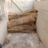 جارو شهرداری