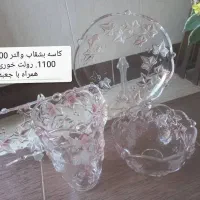 گلدان خارجی|گل و گیاه طبیعی|شیراز, شهرک پرواز|دیوار