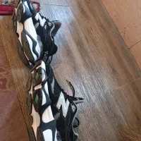 کفش نیوبولانس|کیف، کفش، کمربند|شیراز, احمدی جنوبی|دیوار