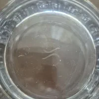 پارچ پاشاباغچه مدل کازابلانکا