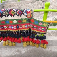 روکش اسب
