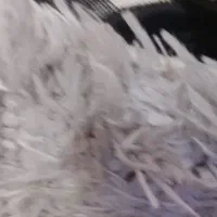 سلام‌فروش‌یک‌پالاز‌دوازده‌متری‌در‌حد‌نو