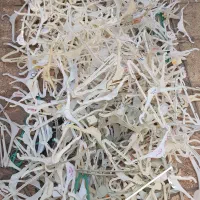 چوب رختی لباس