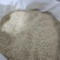 برنج فجر سوزنی