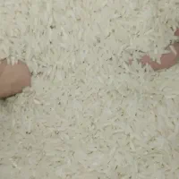 برنج هاشمی اعلاء|خوردنی و آشامیدنی|لنگرود, |دیوار
