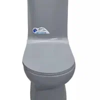 توالت فرنگی طوسی رسی مدل مدیسا|لوازم سرویس بهداشتی|اصفهان, گلستان|دیوار