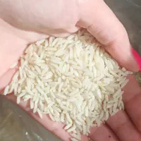 برنج هاشمی