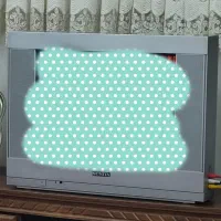 تلویزیون 21 اینچ سونیا و تلویزیون 21 اینچ سونی