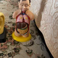 مولاژ بدنه انسان|اسباببازی|سنندج, |دیوار