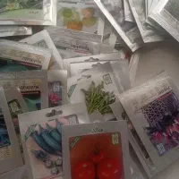 بذر باغ و باغچه