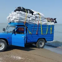 باربری