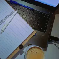 طراحی سایت با قیمت مناسب و تحویل فوری