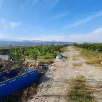 زمین-300متری-پلاک-صفر-جنگل-زیر-قیمت-سنددار