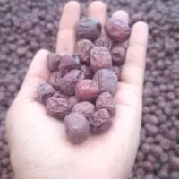 عناب مناسب حبه