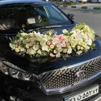 تزئین ماشین عروس و دسته گل|گل و گیاه طبیعی|رشت, دیلمان|دیوار