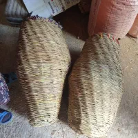 سبته جا مرغ(سله)