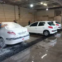 نیروی کارواش درصدی، روزمزد