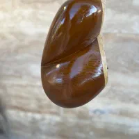 تار درجه یک از کارگاه