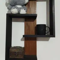 شلف دیواری|کتابخانه، شلف، قفسههای دیواری|مشهد, حضرت حجت|دیوار