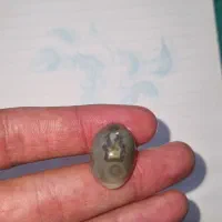 نگین سنگ موکلدار سلیمانی