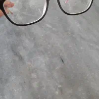 فریم عینک|زیورآلات و اکسسوری|اردبیل, |دیوار