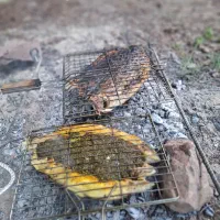 آشپزی