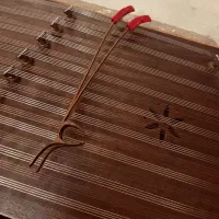 اموزش خصوصی سنتور