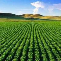 کود ارگانیک تخصصی تضمینی|خدمات باغبانی و درختکاری|اصفهان, احمدآباد|دیوار