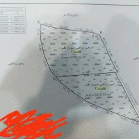 فروش زمینی زراعی آدینان|فروش زمین و ملک کلنگی|زیویه, |دیوار