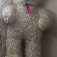 شاسخین درحدنو